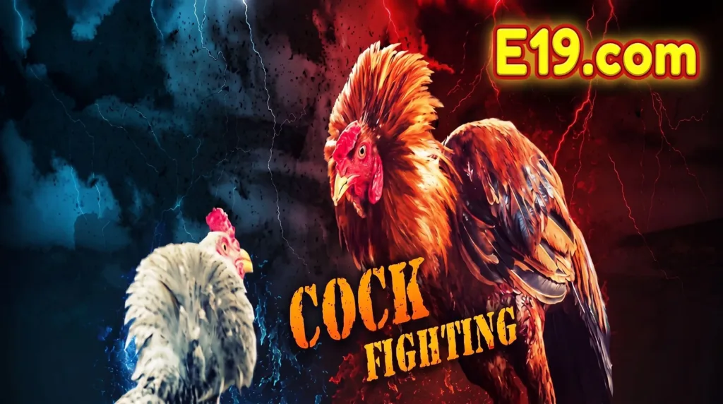 ไก่ชนออนไลน์บน E19